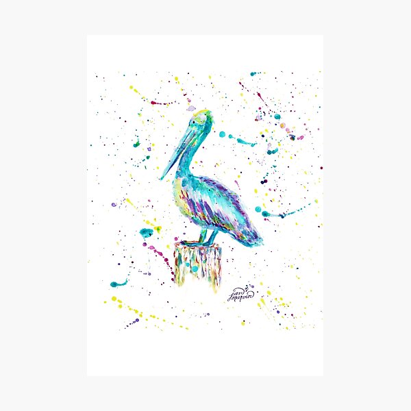 Pelican by Jan Marvin Photographic Print