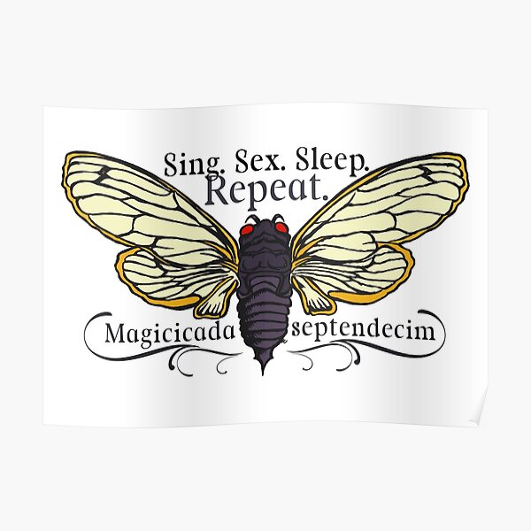 Sing Sex Sleep Repeat Cicada Life Cycle Specimen Poster By Darth1234 Redbubble 