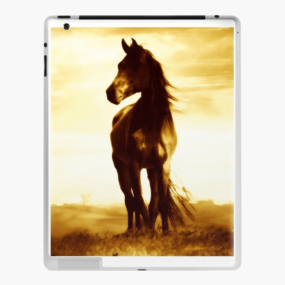 Item preview, iPad Skin designed and sold by LazyL.