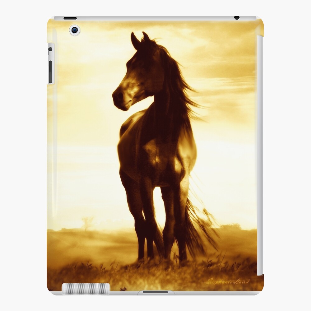 Item preview, iPad Snap Case designed and sold by LazyL.