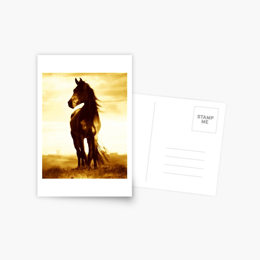 Item preview, Postcard designed and sold by LazyL.
