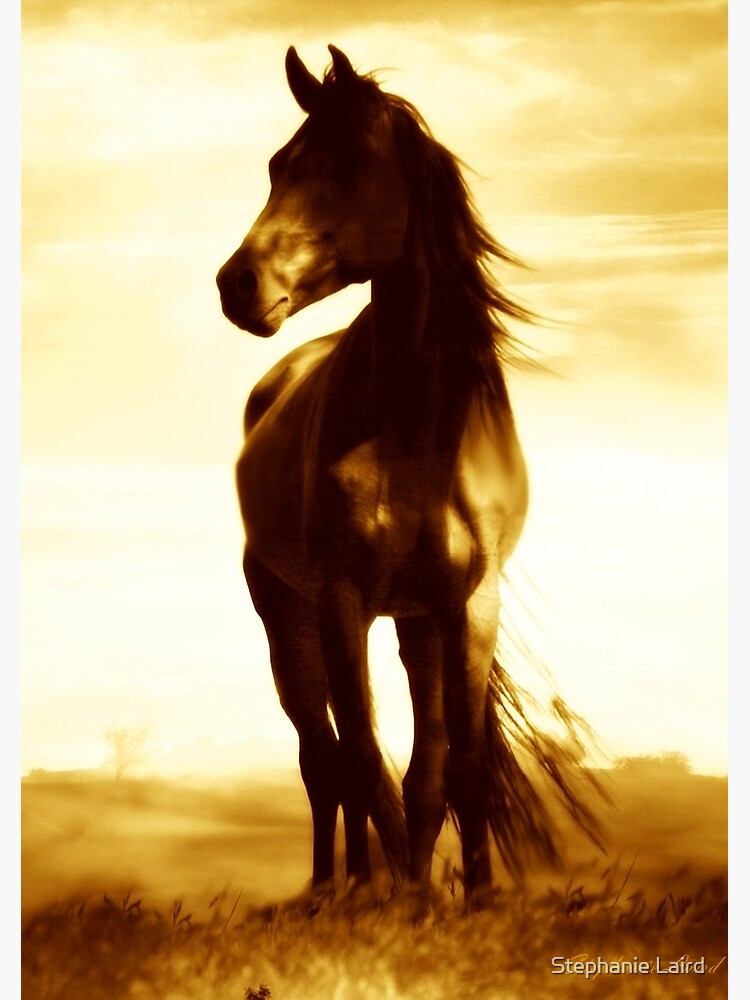 Thumbnail 3 of 3, Spiral Notebook, Antiqued Wind Swept Horse designed and sold by Stephanie Laird.