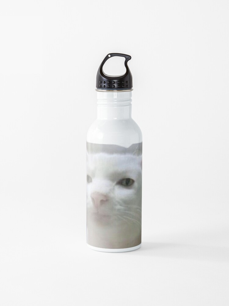 cat water bottle