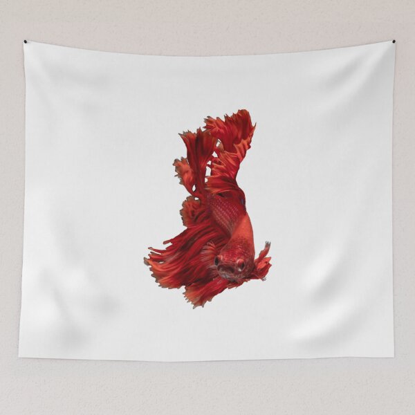 Item preview,  Siamese fighting fish red - betta splendens  designed and sold by kawrdesigns.