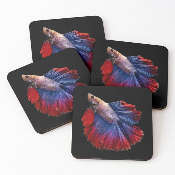 Item preview, Siamese fighting fish red blue- betta splendens  designed and sold by kawrdesigns.