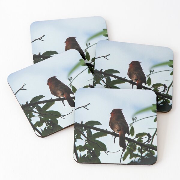 Item preview, Contemplating designed and sold by AGODIPhoto.
