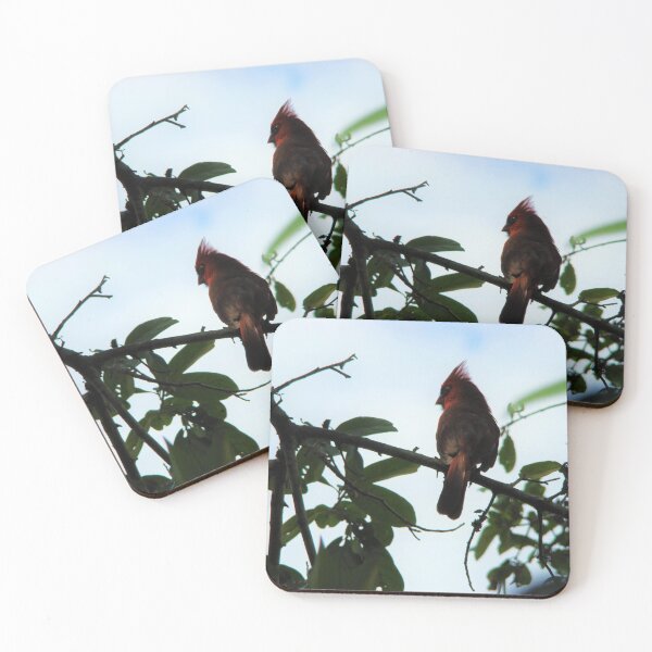 Item preview, High Alert designed and sold by AGODIPhoto.