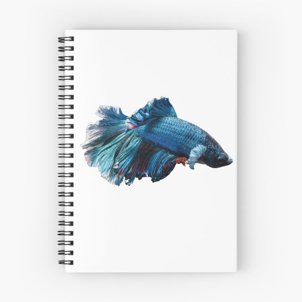 Item preview, Siamese fighting fish blue- betta splendens  designed and sold by kawrdesigns.