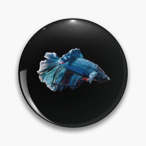 Item preview, Siamese fighting fish blue- betta splendens  designed and sold by kawrdesigns.