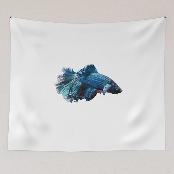 Item preview, Siamese fighting fish blue- betta splendens  designed and sold by kawrdesigns.