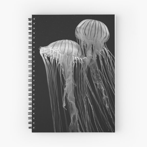 Item preview, A Pair Of Jellyfish Floating Along In Black and White designed and sold by AmberCamera.