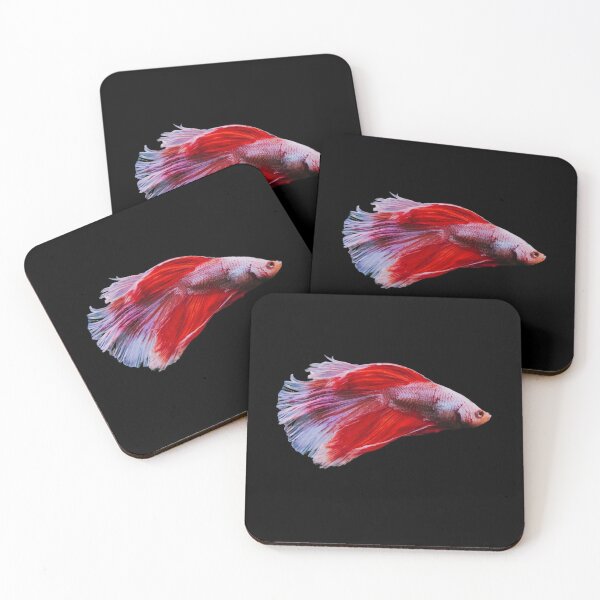 Item preview, Siamese fighting fish red white- betta splendens  designed and sold by kawrdesigns.