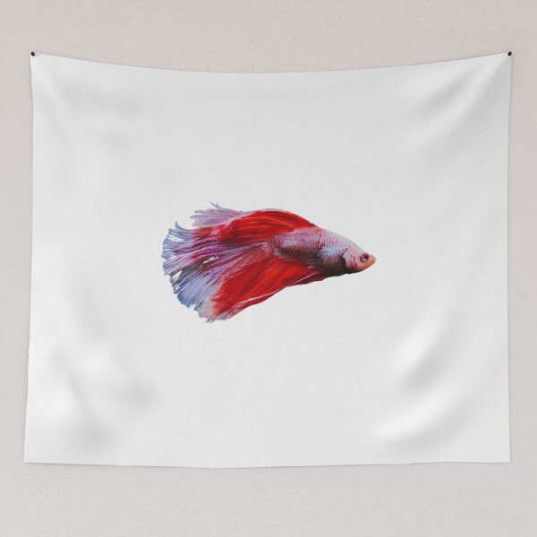 Item preview, Siamese fighting fish red white- betta splendens  designed and sold by kawrdesigns.