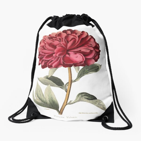 Aperçu de l'œuvre Pivoine Vulcain Ruvue Horticole - Illustration de fleur rouge créée et vendue par SkyeAndOxford.