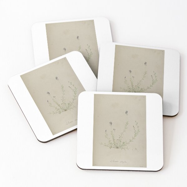 Item preview, vintage botanical designed and sold by Txxmstore.
