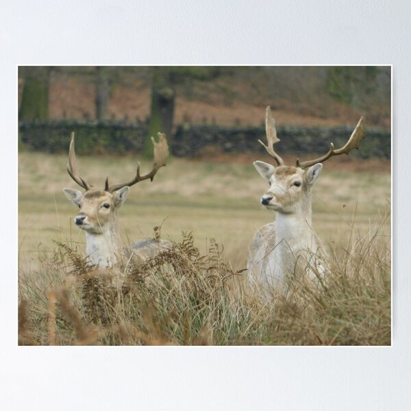 Item preview, Deer designed and sold by Lantheriel.
