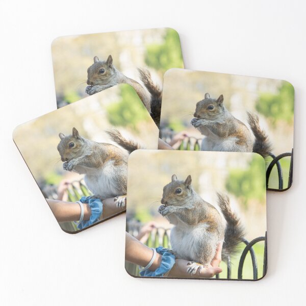Item preview, Girl holding a Squirrel  designed and sold by GingeSwagTia.