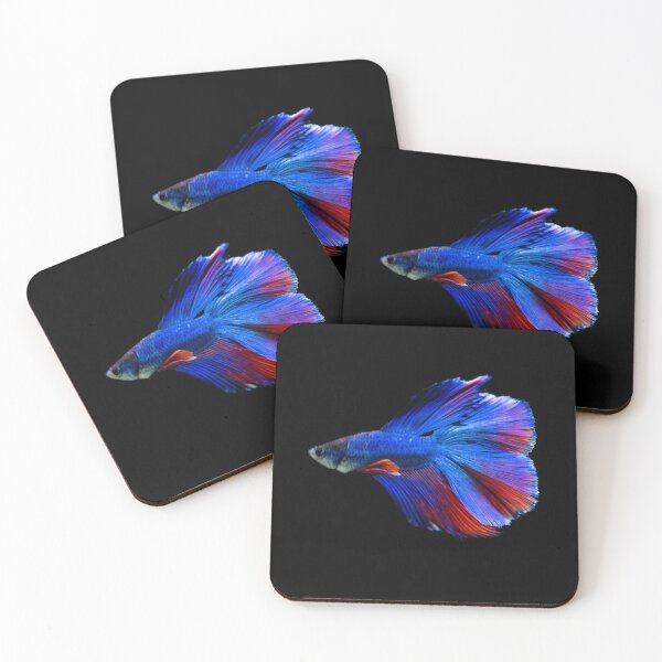Item preview, Siamese fighting fish red blue- betta splendens  designed and sold by kawrdesigns.