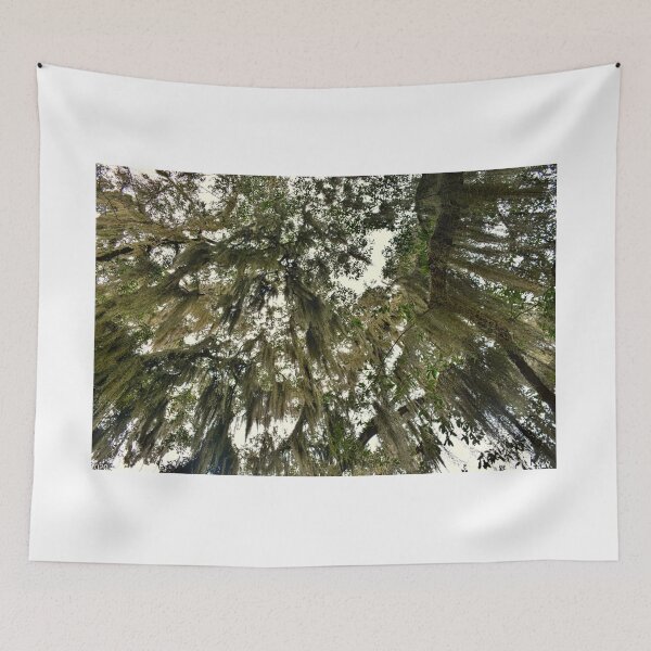 Item preview, Raining Moss designed and sold by LisaWootenPhoto.