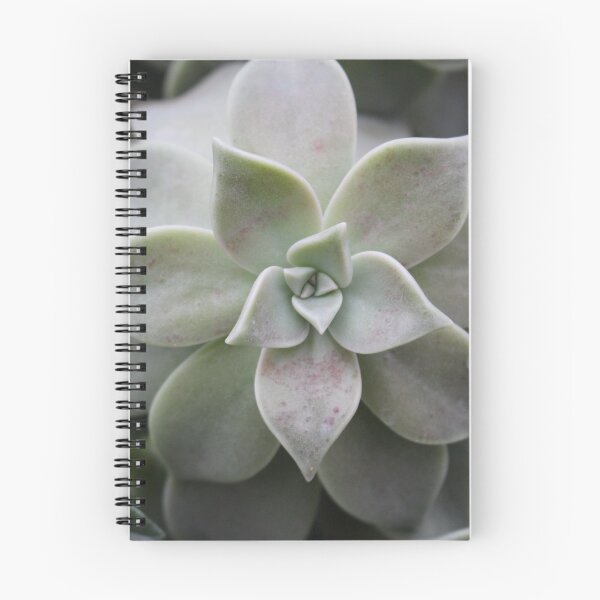Item preview, Echeveria elegans designed and sold by GingeSwagTia.