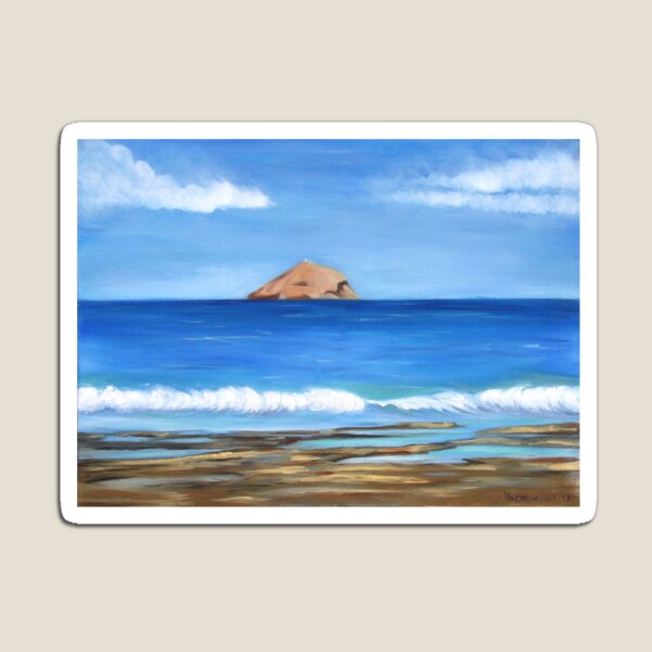 Raftis islet Magnet