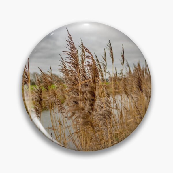 Artikelvorschau, Golden reeds in rural Norfolk entworfen und verkauft von yackers1.