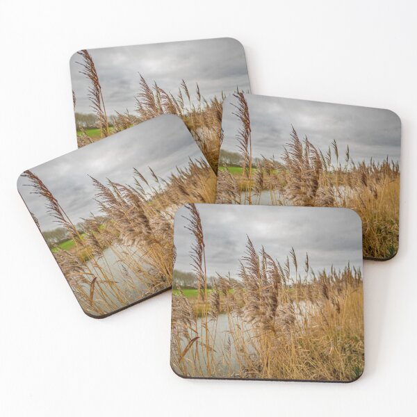 Item preview, Golden reeds in rural Norfolk designed and sold by yackers1.