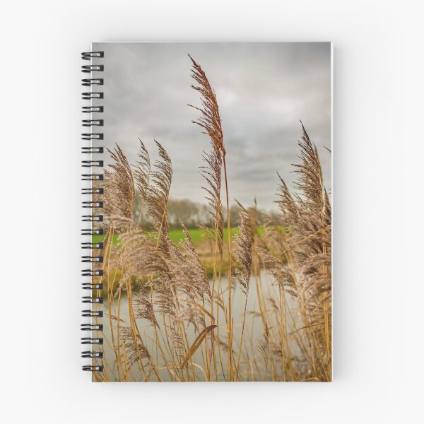 Item preview, Riverside reeds designed and sold by yackers1.