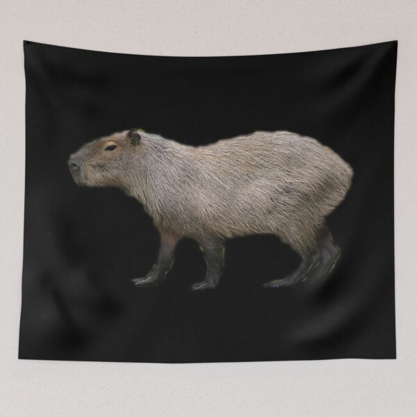 Item preview, Capybara designed and sold by myuniquepet.