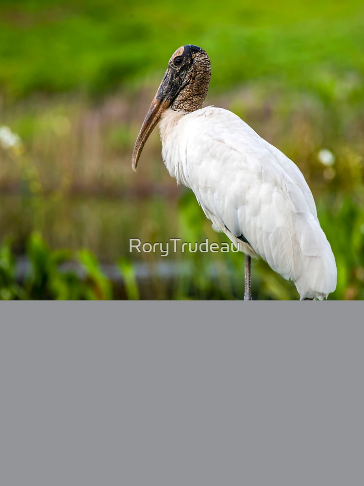 Thumbnail 7 of 7, Oversized T-Shirt, stork designed and sold by RoryTrudeau.
