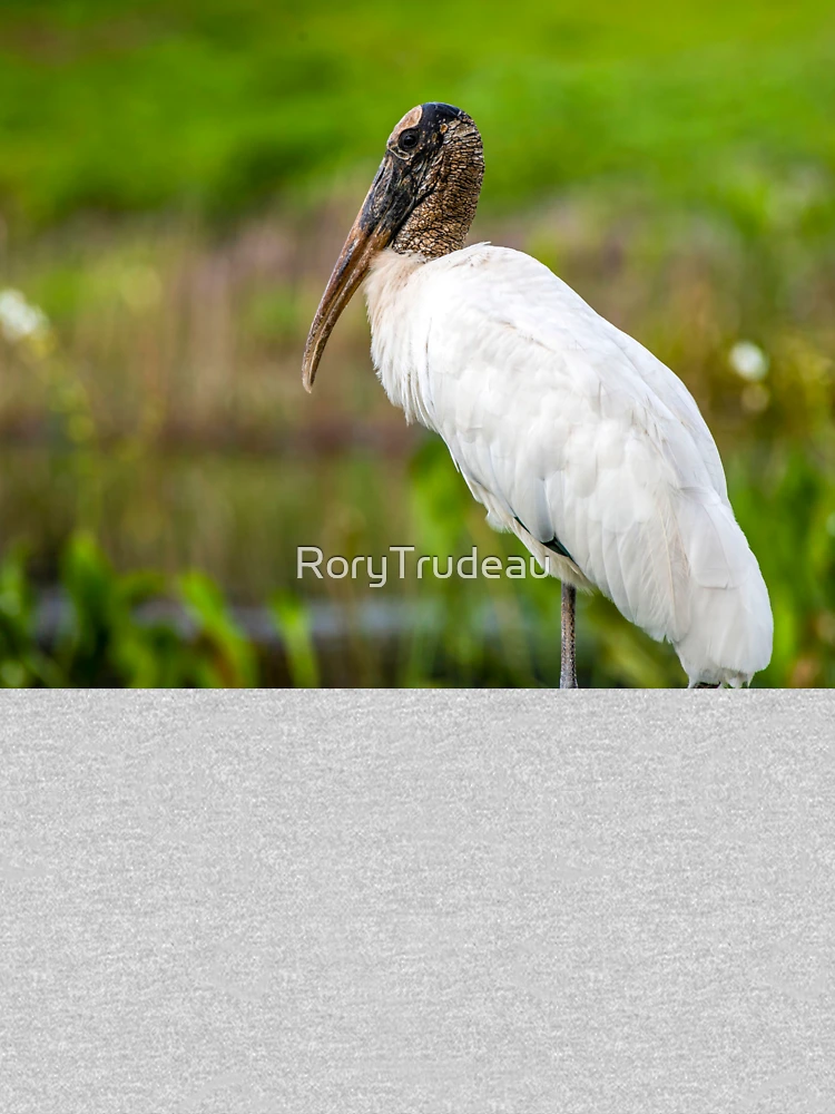Thumbnail 6 of 6, Pullover Hoodie, stork designed and sold by RoryTrudeau.