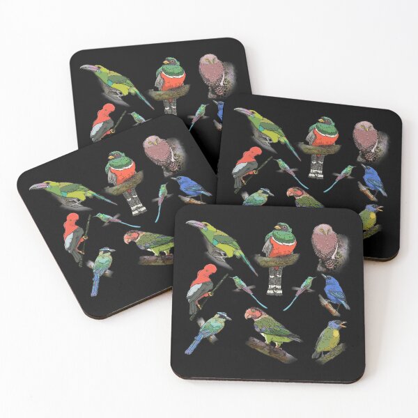 Item preview, Birds of Mashpi, Ecuador designed and sold by C·REBRAL Labs.