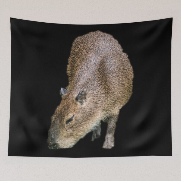 Item preview, Capybara designed and sold by myuniquepet.