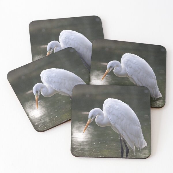 Item preview, Little egret designed and sold by pietrofoto.