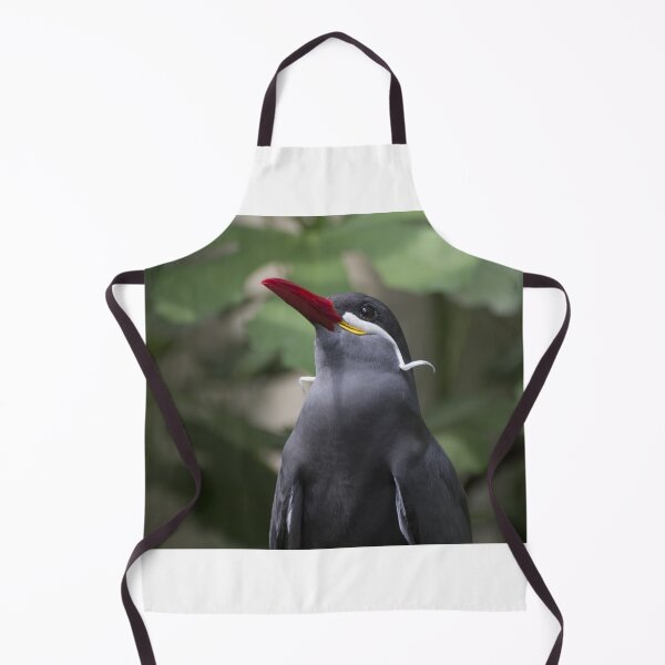 Item preview, Inca tern designed and sold by pietrofoto.