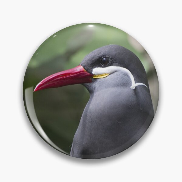Item preview, Inca tern designed and sold by pietrofoto.