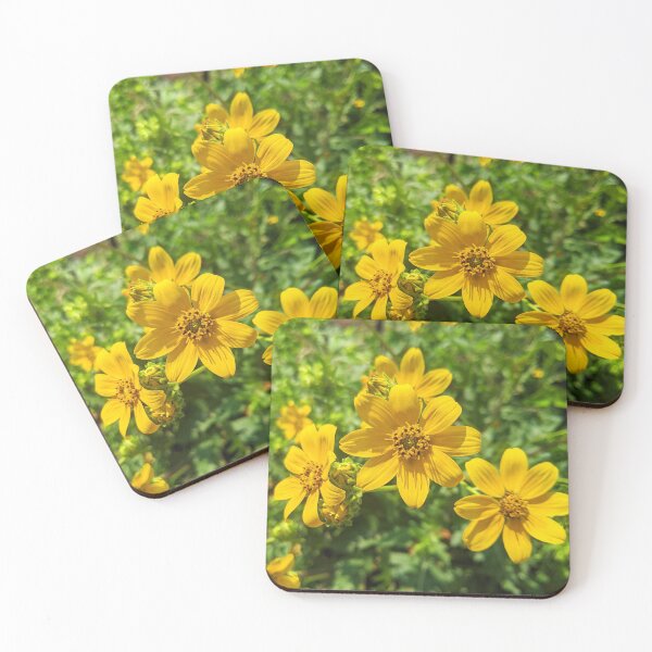 Item preview, Flowers Spanish Needles Pretty Spring Nature Floral Photography designed and sold by Wizardofpizza.