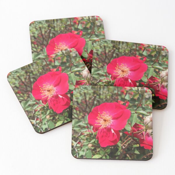 Item preview, Flowers Alpine Rose Pretty Spring Nature Floral Photography designed and sold by Wizardofpizza.
