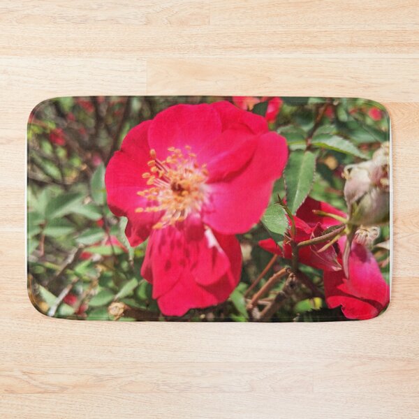 Item preview, Flowers Alpine Rose Pretty Spring Nature Floral Photography designed and sold by Wizardofpizza.