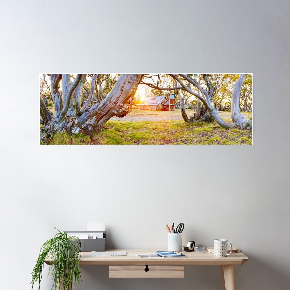 Wallace Hut, Falls Creek, Victoria, Australia Poster
