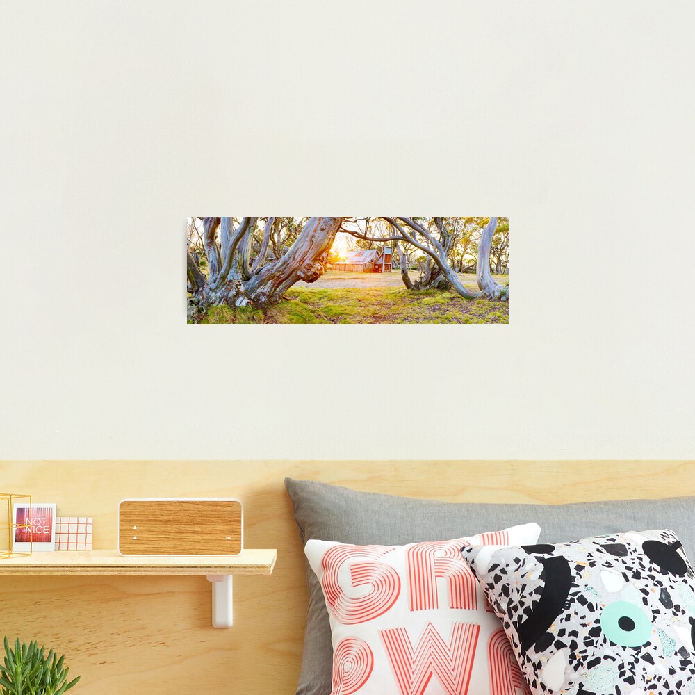 Wallace Hut, Falls Creek, Victoria, Australia Photographic Print