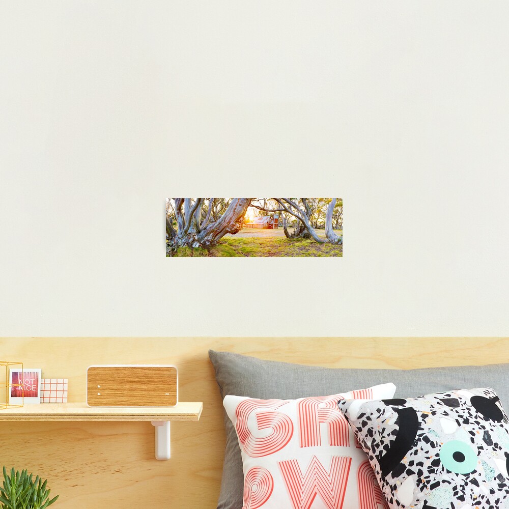 Wallace Hut, Falls Creek, Victoria, Australia Photographic Print