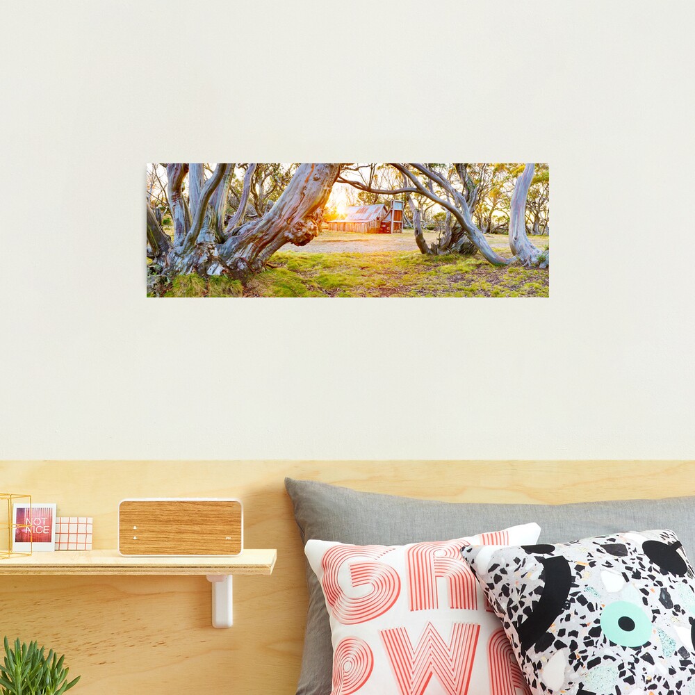 Wallace Hut, Falls Creek, Victoria, Australia Photographic Print