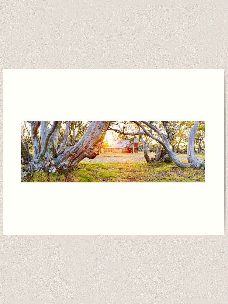 Alternate view of Wallace Hut, Falls Creek, Victoria, Australia Art Print