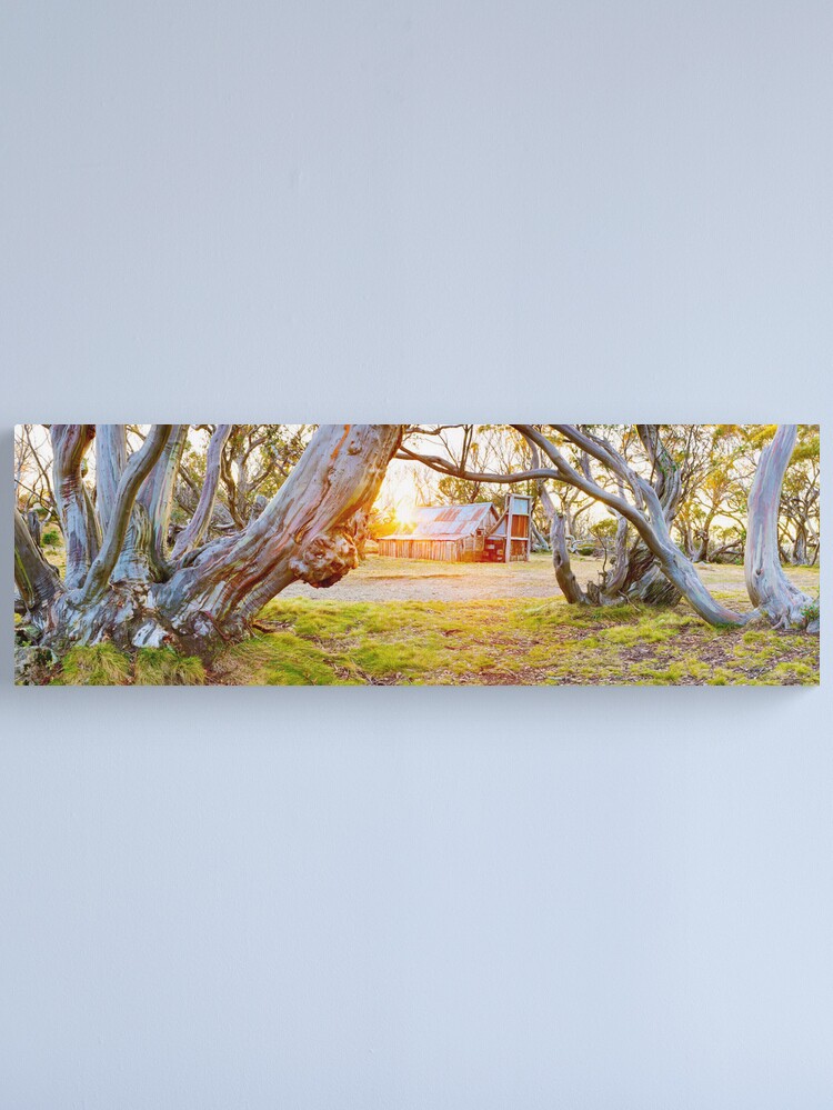 Alternate view of Wallace Hut, Falls Creek, Victoria, Australia Canvas Print