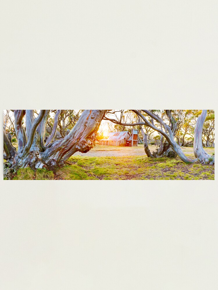 Alternate view of Wallace Hut, Falls Creek, Victoria, Australia Photographic Print