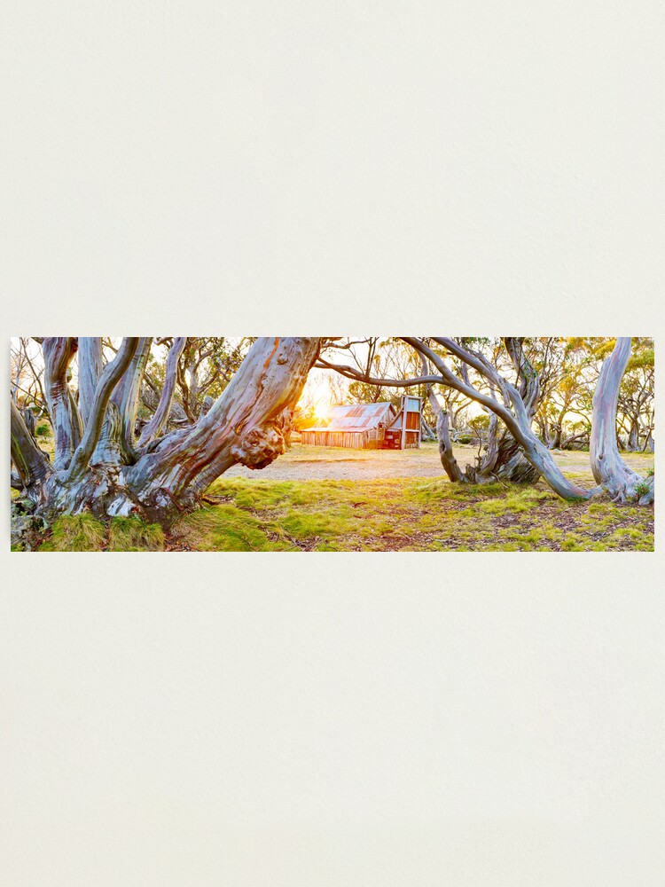 Alternate view of Wallace Hut, Falls Creek, Victoria, Australia Photographic Print