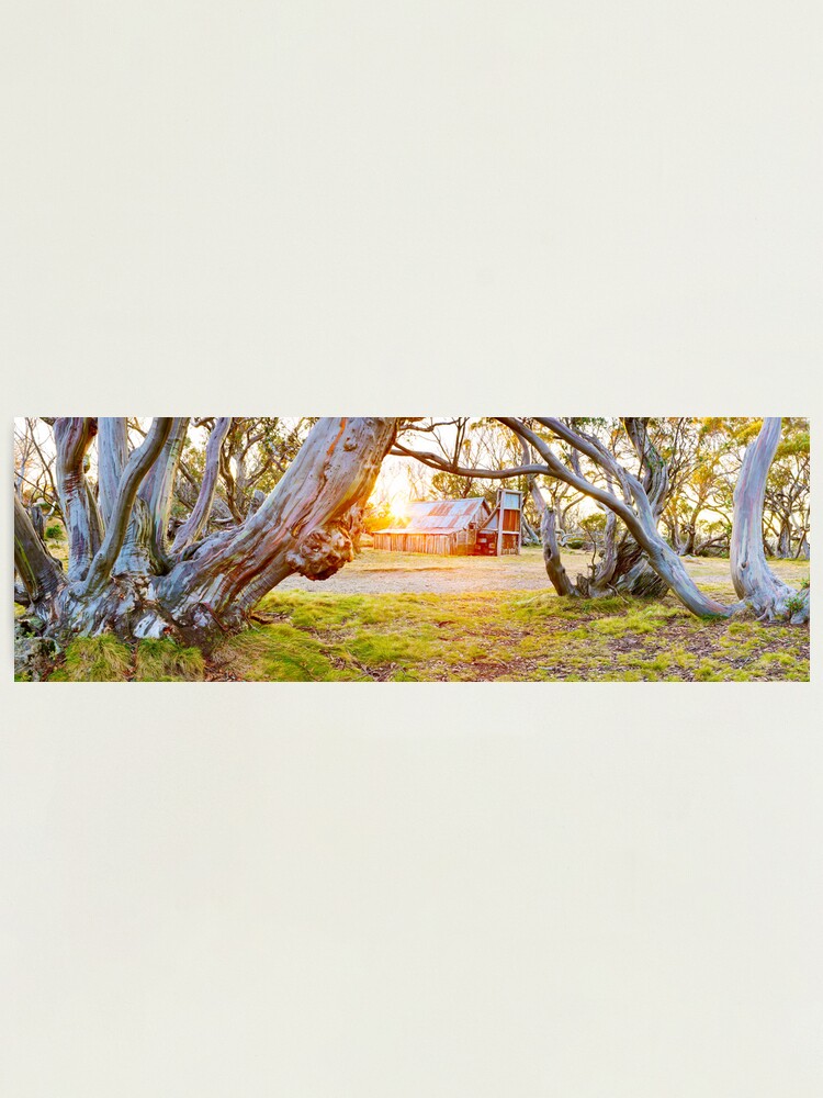 Alternate view of Wallace Hut, Falls Creek, Victoria, Australia Photographic Print