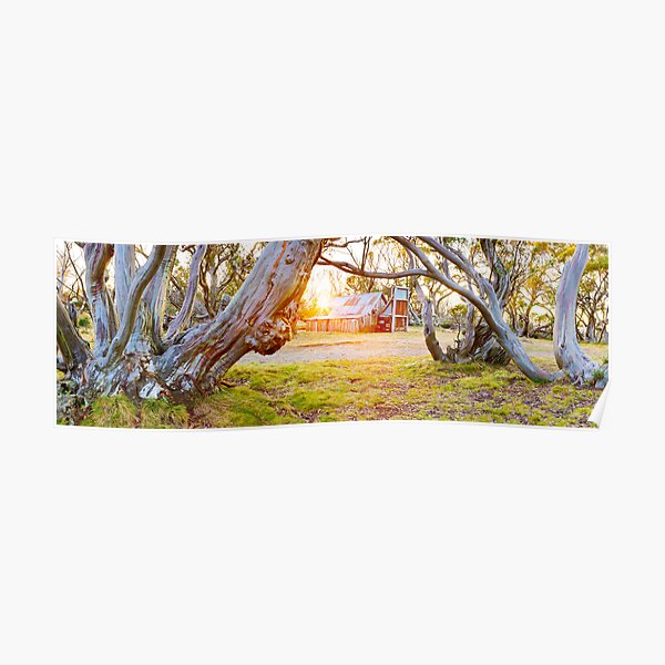 Wallace Hut, Falls Creek, Victoria, Australia Poster