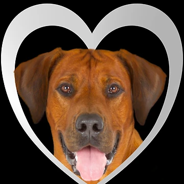 Artwork thumbnail, Rhodesian Ridgeback Tshirt Rhodesian Ridgeback Dog Shirt Tee by KDesigns85